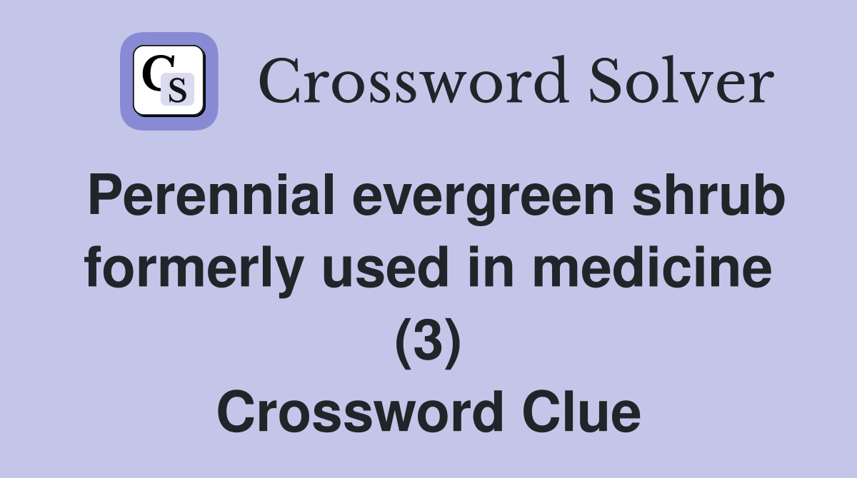 Perennial evergreen shrub formerly used in medicine (3) Crossword